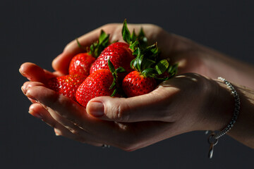A woman holding a red, ripe, fresh strawberry in her hands, isolated on a dark background close-up,...