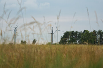 Landscape with wind turbines and forest.