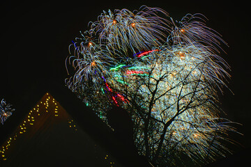 Colorful fireworks behind a house.