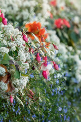 Multicolored wildflowers close up, blurred background, selective focus. Vertical photo