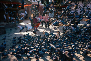 Locals meander through a bustling temple square in Kathmandu, as a flock of pigeons takes to the...