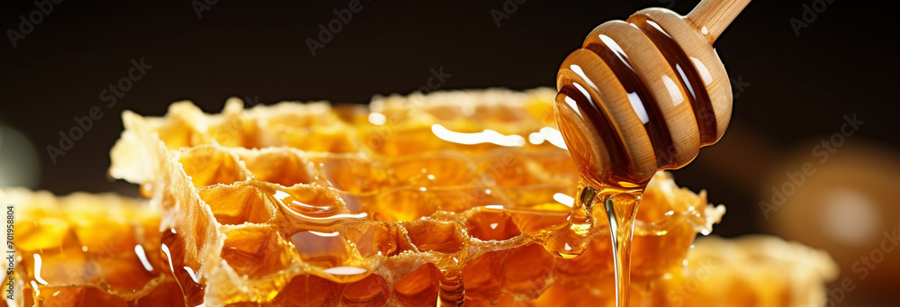 Wall mural fresh organic honey on honeycomb