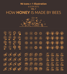 How Honey Is Made By Bees - 96 Icons, 1 Illustration (6 icon sets) - Vol. 7