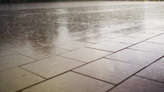Downpour in the city: Heavy rainstorm