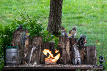 Backyard Squirrels practicing burning a couch