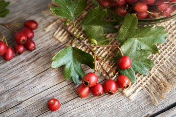 Fresh hawthorn berries and leaves on a wooden table
