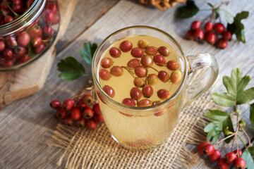 Herbal tea with fresh hawthorn berries