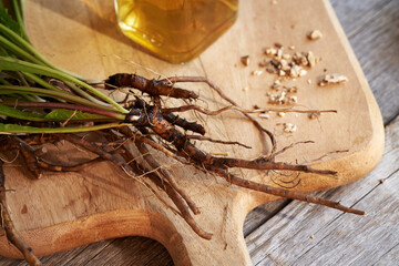 Fresh and dry dandelion root with a bottle of herbal tincture