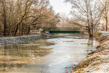 the trees on the river bank are flooded by the river