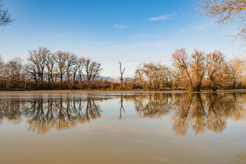 the trees on the river bank are flooded by the river