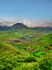 Vertical shot of crops gowring in terrace on The hillside with the mountain peaks in the background in Lesotho