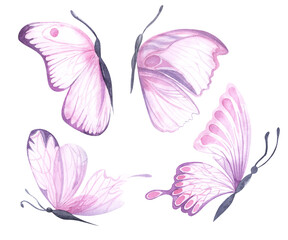 pink butterfly Watercolor colorful butterflies, isolated on white background. pink and lilac butterfly spring illustration Butterfly. Element for design, cards, spring web