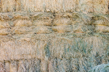 texture of grass hay