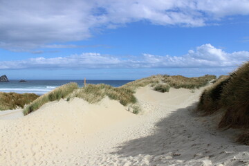 New zealand sandy beach white and green gras blue sky