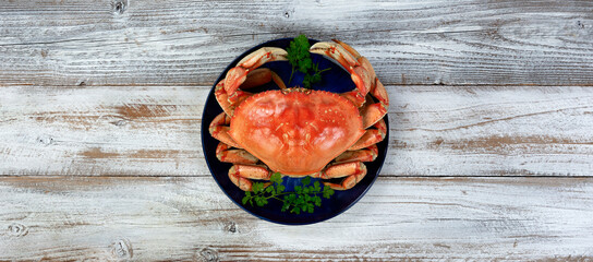Overhead view of a single cooked large Dungeness crab on dark blue plate with white wooden table...