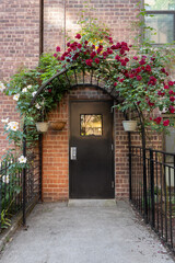 Fototapeta na wymiar a trellis of climbing red roses arched over a black doorway of a red brick building, quaint, urban