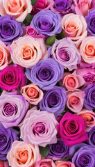 Beautiful Valentine's Day Background with Multicolored Flowers. Floral Wallpaper with Pink and Lilac Roses.