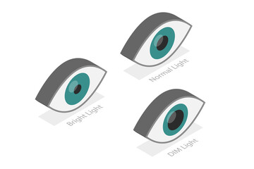 3D Isometric Flat  Illustration of Pupillary Light Reflex, PLR, Three Different Variations