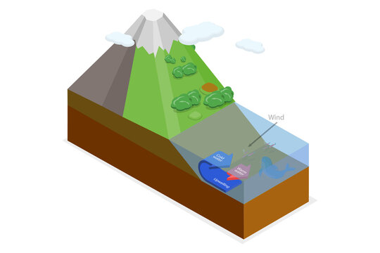 3D Isometric Flat  Illustration of Upwelling, Ocean Deep Water Movement Process