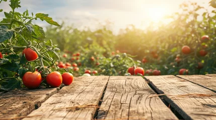 Fotobehang Countryside Rustic Farm-to-Table Setting. Empty wood table with ample free space against a backdrop of lush tomatoes field. Copy space for text. Organic Agriculture concept  © Mr. Bolota