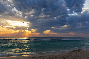 Naklejka na ściany i meble Spectacular sunset beach Perth Western Australia