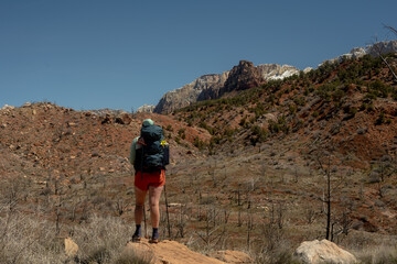 Hiker Looks Out Over Barren Land In Zion