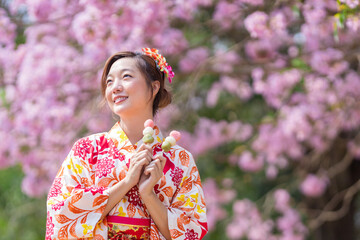 Japanese woman in traditional kimono dress holding sweet hanami dango dessert while walking in the...