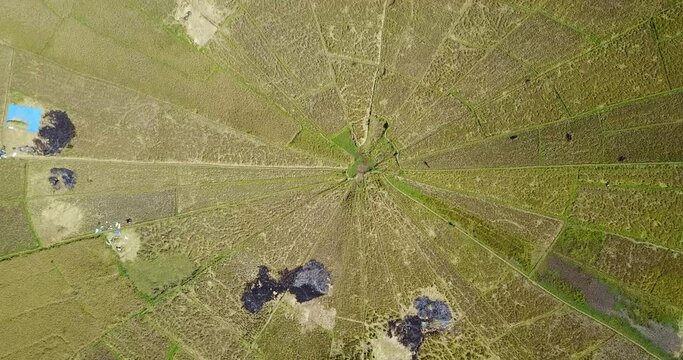 Aerial view of the Spider Rice Fields during harvest season near Ruteng, East Nusa Tenggara, Indonesia. 