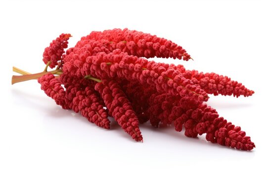 Sumac on white background