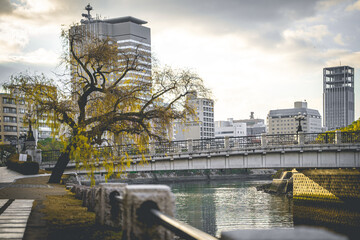 View of the Ota River and trees in Japan.