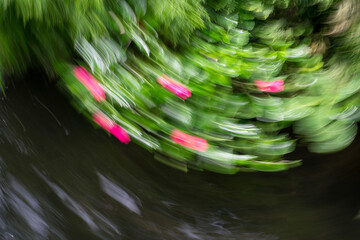 Floral abstract as nature background. ICM intentional camera movement effect. Copy space.