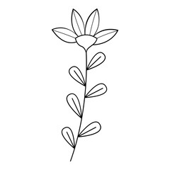 Floral line art. Design element with floral theme.