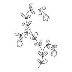 Floral line art. Design element with floral theme.