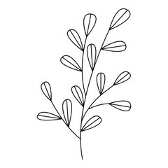 Floral line art. Design element with floral theme.