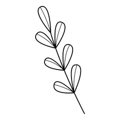 Floral line art. Design element with floral theme.