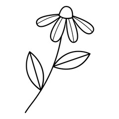 Floral line art. Design element with floral theme.