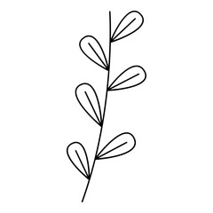 Floral line art. Design element with floral theme.