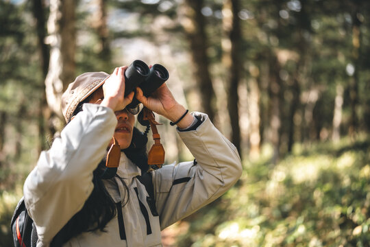woman family walking in the forest to watching a bird in nature, using binocular for birding by looking on a tree, adventure travel activity in outdoor trekking lifestyle, searching wildlife in jungle