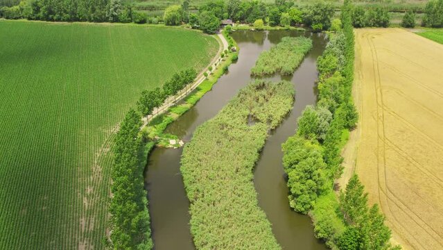 Green and yellow agricultural fields on opposite sides of a pond in countryside