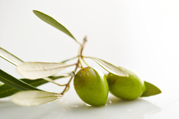 olives on a branch	