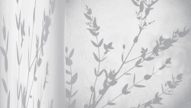 wall corner with grey background and shade of plant tree nature moving by gentle breeze rendering animation display products e-commerce online shop sale discount 