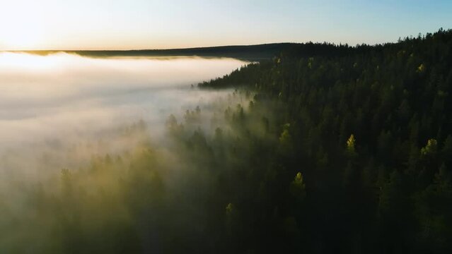 Aerial view along fog covered forest and hills, sunny fall morning in Lapland