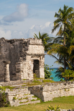Ruines maya entour&eacute; de palmiers