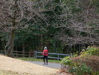 Fototapeta premium 冬の朝の公園で散歩しているシニア女性の姿