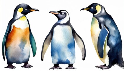 Group of emperor penguins at white isolated background.