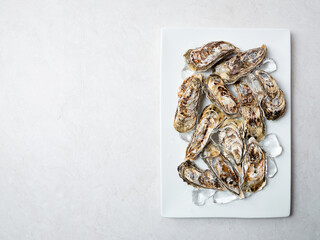 Half shell oysters on plate	