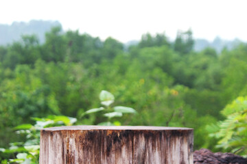 A piece of wood trunk with a green background and lush trees