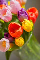 A beautiful tulip bouquet in the sunlight