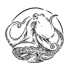 simple and unique octopus vector illustration