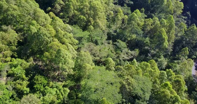 Drone View of Mount Inerie and surrounding jungle areas in East Nusa Tenggara, Indonesia. 